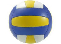 2596_ Ballon de Volley